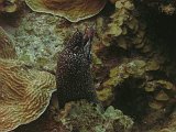 Curacao 04-12 177